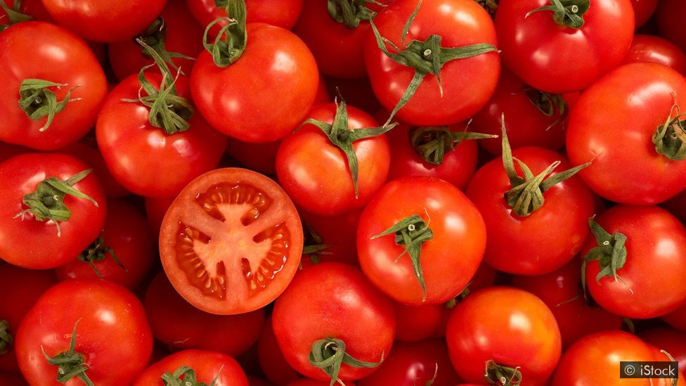Read more about the article My 3 Kgs tomato rule to handle anger