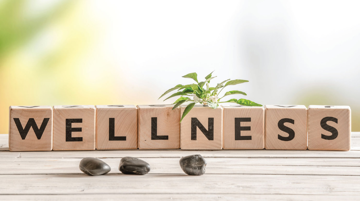 Read more about the article My Experiences with Wellness Meditation and Tithing
