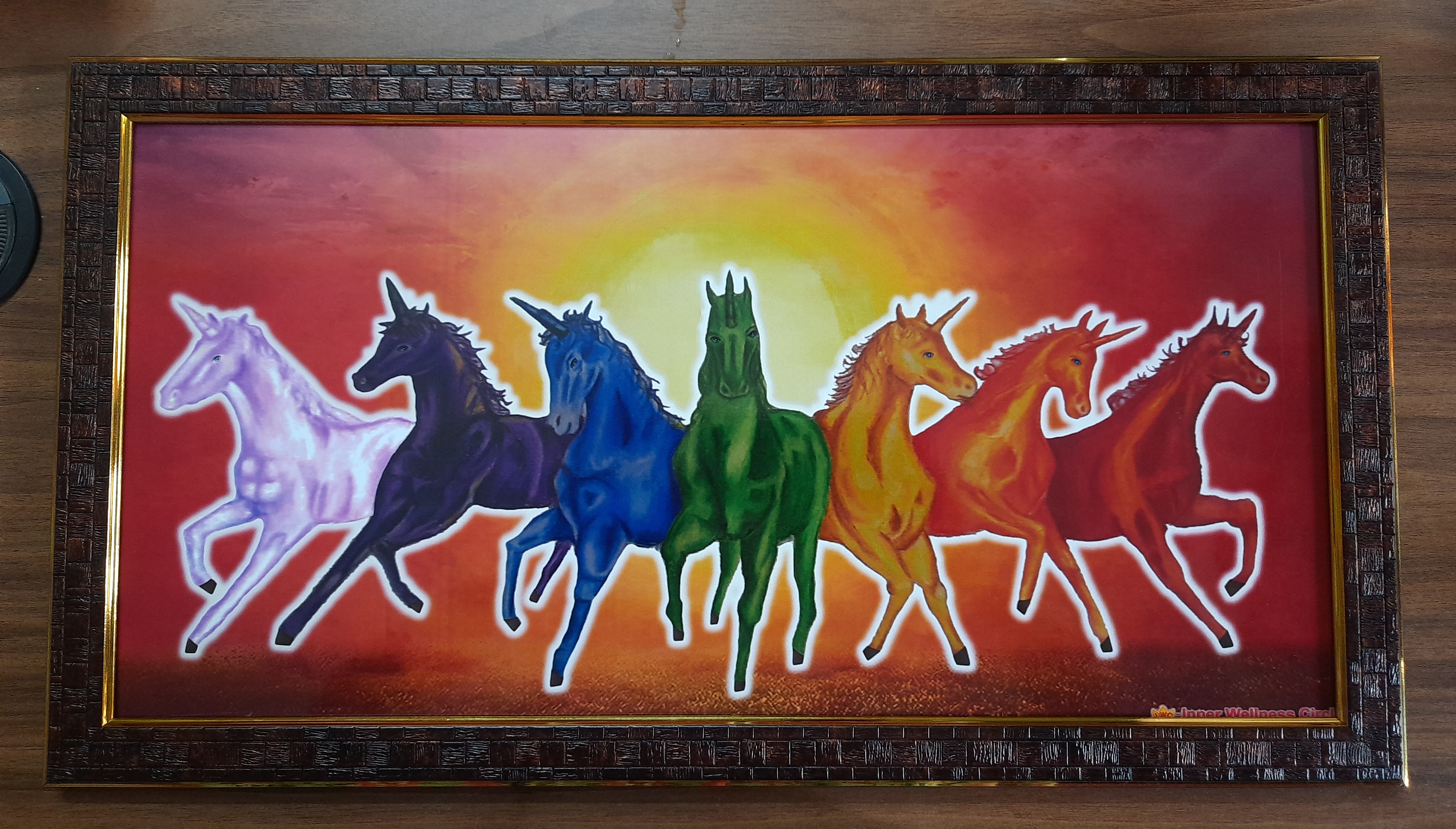 Rainbow Unicorn Horses